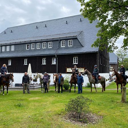 Waldgasthof Bad Einsiedel Seiffen Exterior foto