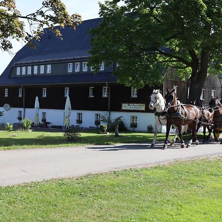 Waldgasthof Bad Einsiedel Seiffen Exterior foto